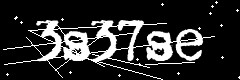 图形验证码
