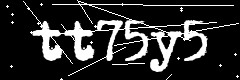 图形验证码