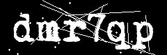 图形验证码