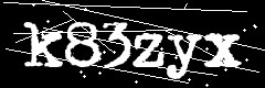 图形验证码